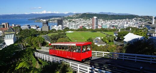 Best Places to Visit in Wellington