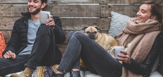Move Your Dog