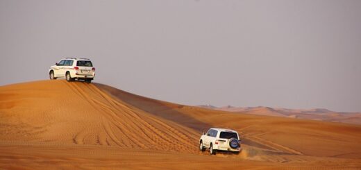 Arabian Night