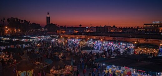 Things To Do in Marrakech