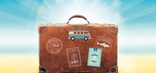 Best Travel Accessories
