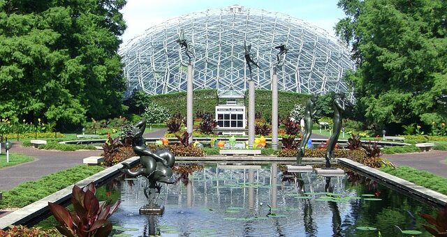 Things To Do in St. Louis