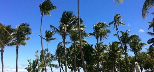 resorts in Belize