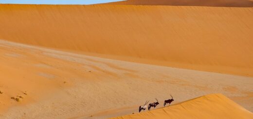 Trip To Namibia
