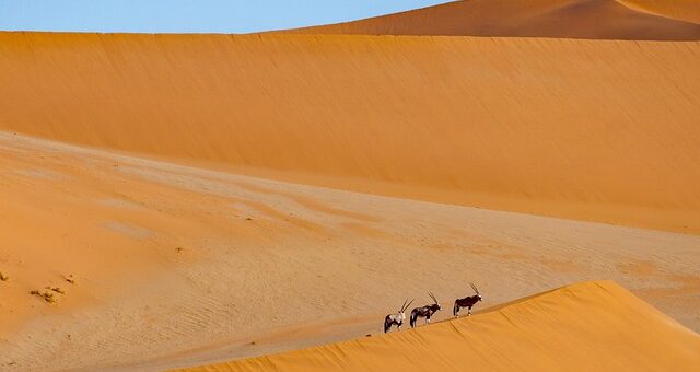 Trip To Namibia