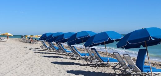 resorts in Tampa