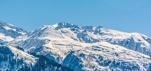 Manali package