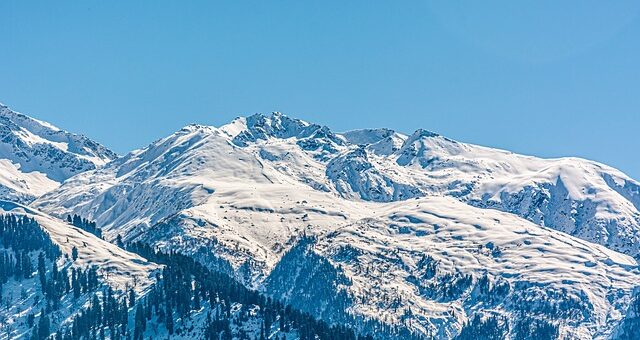Manali package