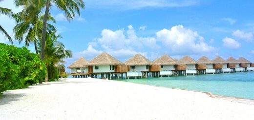 Grand Cayman Activities