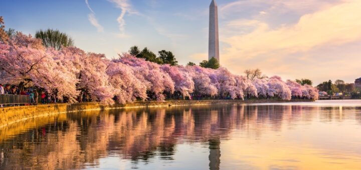 best places to travel in march in usa