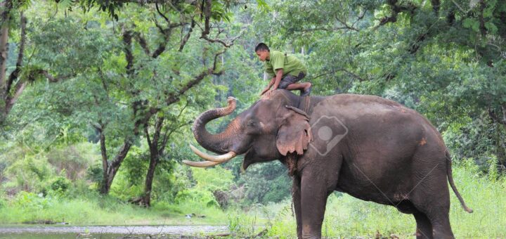 dowsstrike2045 python