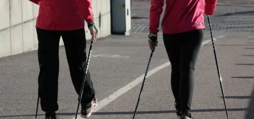 Nordic walking technique