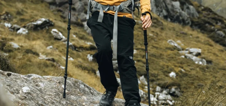 Trekking poles for hiking