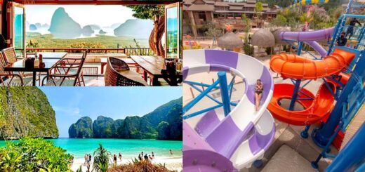things to do in phuket