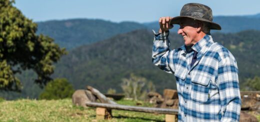 state farm travel insurance