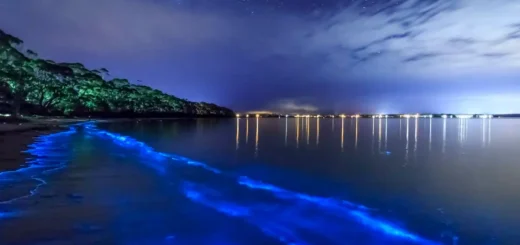 bioluminescent bay puerto rico
