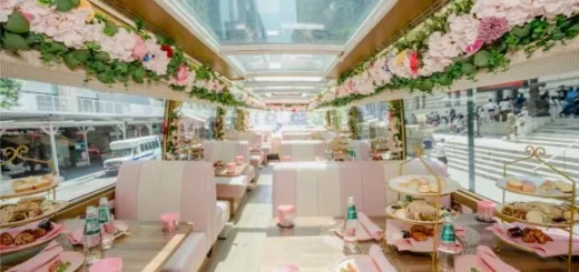 tea around town chicago