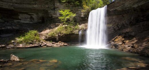 things to do in tennessee