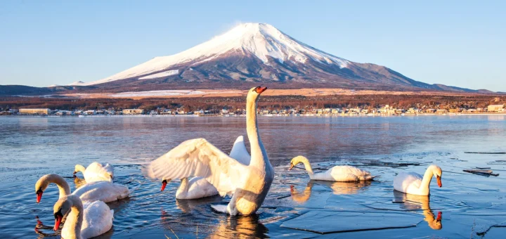 best places to travel in december