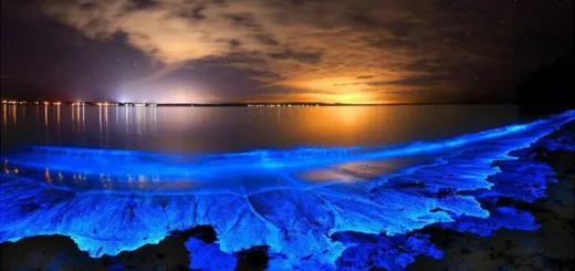bioluminescent bay puerto rico
