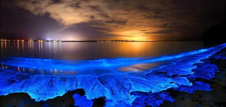bioluminescent bay puerto rico