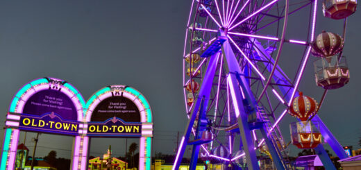 things to do in kissimmee