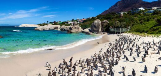 boulders beach tickets
