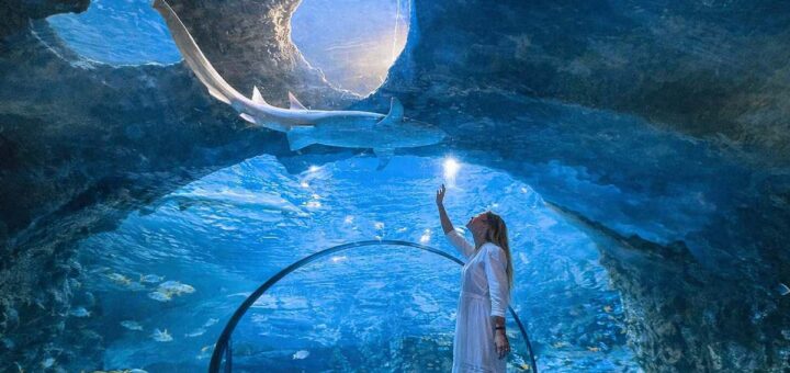 national aquarium abu dhabi