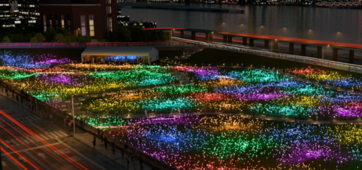 field of light nyc