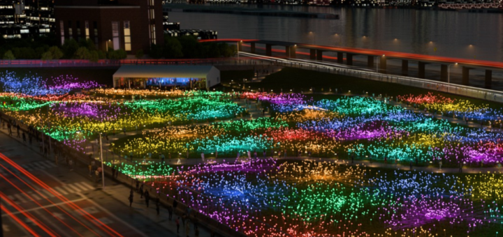 field of light nyc