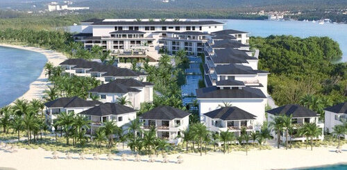 excellence oyster bay