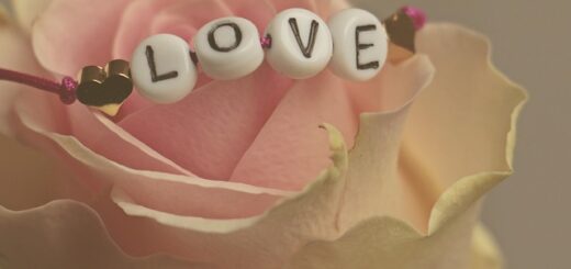 northern Andes and Salta