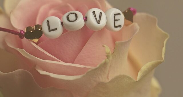 northern Andes and Salta