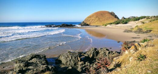 Wild Coast
